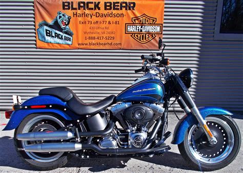 black bear harley davidson